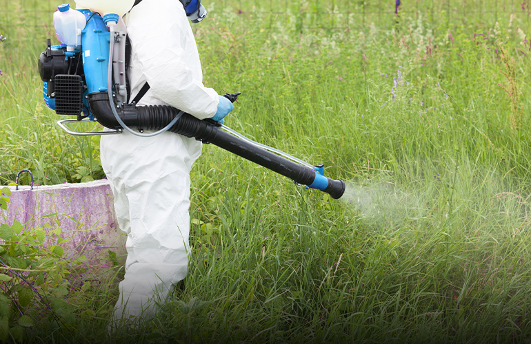 FERTILIZANTE FERTILIZANTE